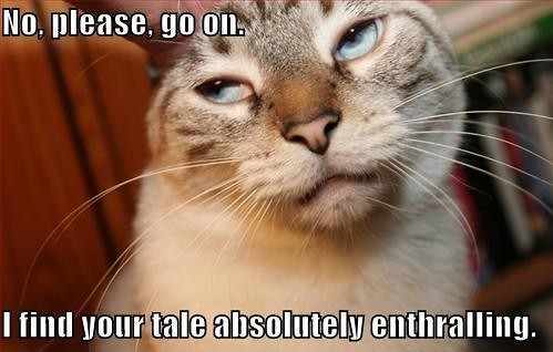 s1200_lolcat_boring_story.jpg