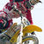 C50_1013_458a31124ca2c