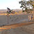 C50_627675038_1213894795