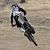 C50_image_1418569421
