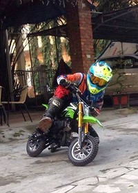 S200x600_17522696_1847879472155938_626306646140942984_n_1507205727