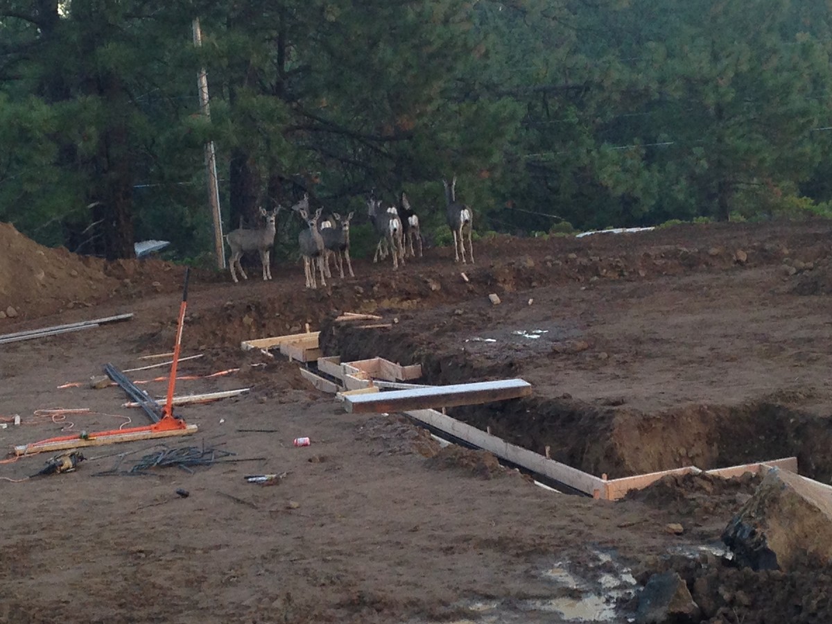 Building the new Moto garage - Moto-Related - Motocross Forums