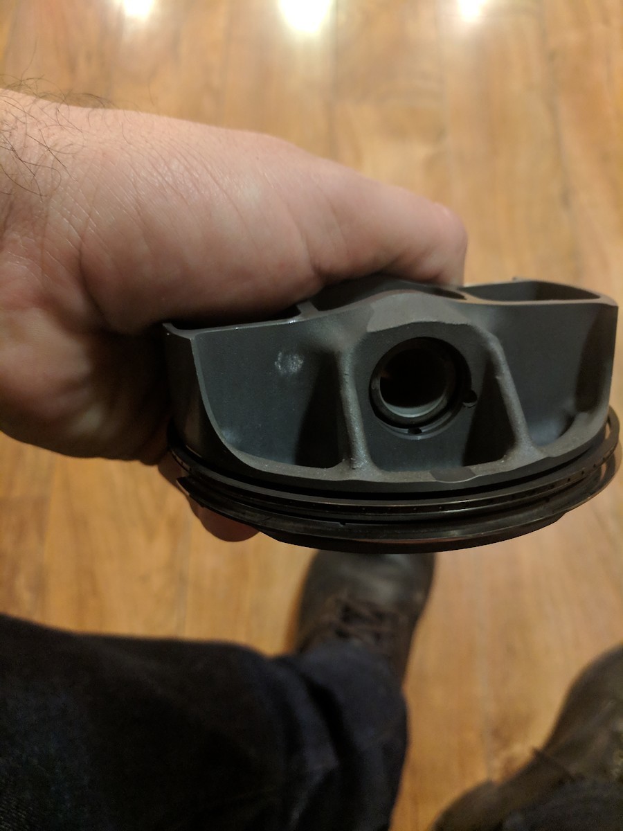 20152017 KTM 450 SXF Piston and ring kit For Sale/Bazaar Motocross