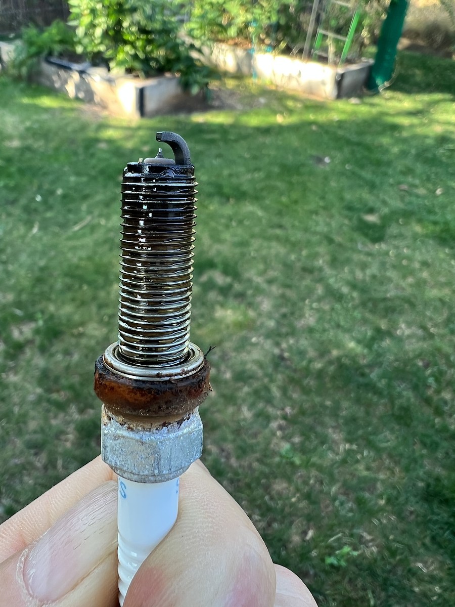 2021 WE Honda plug wet. Tech Help/Race Shop Motocross Forums