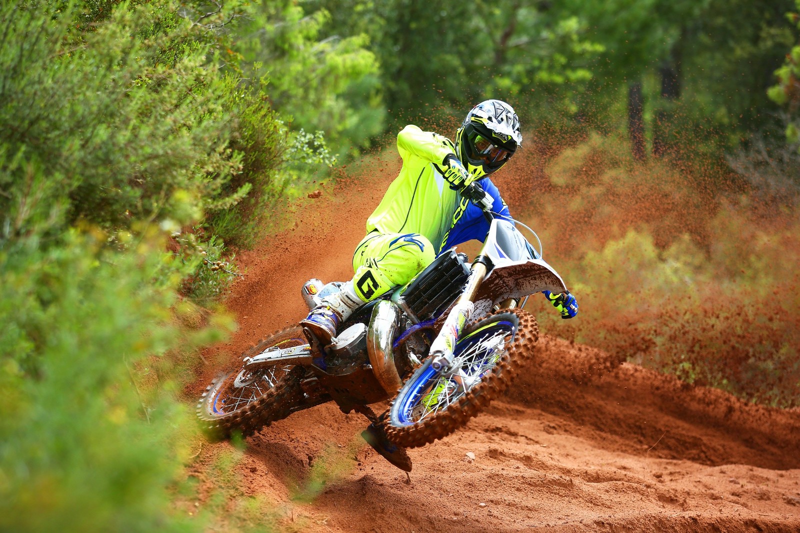 top cross country bikes 2019