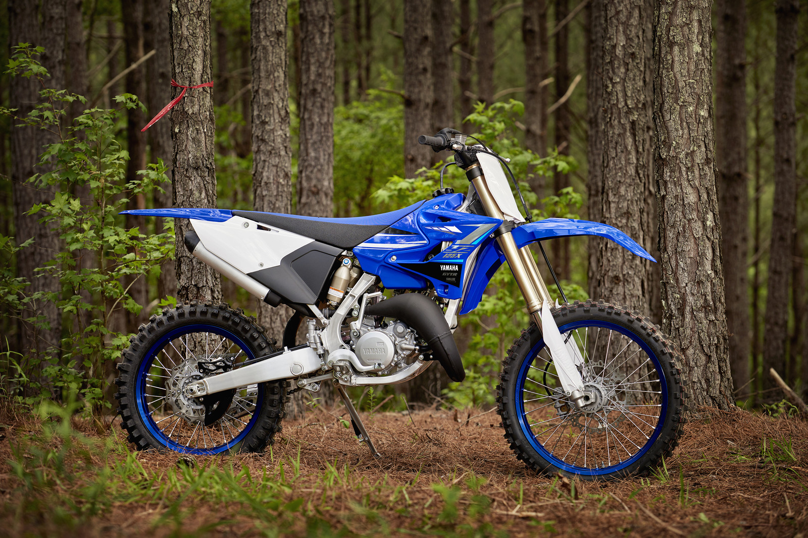 First Look: 2020 Yamaha Cross Country Bikes - Max 20 YZ125X TeamYamahaBlue B02 195592