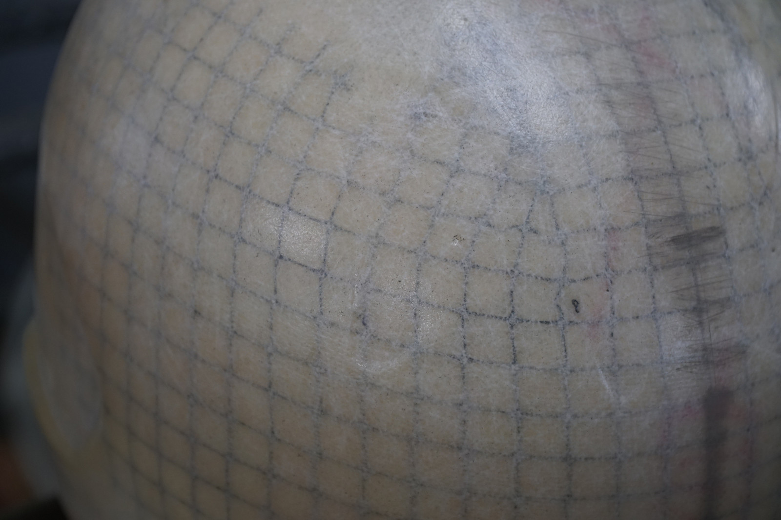 A close up of a shell. Layer after layer of material is built up to flex in a very specific way, while being extremely strong.