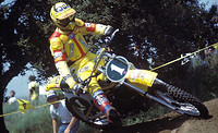 Wandell