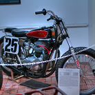 Profile picture for user Singletrack Gardener