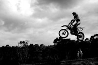 sherro24