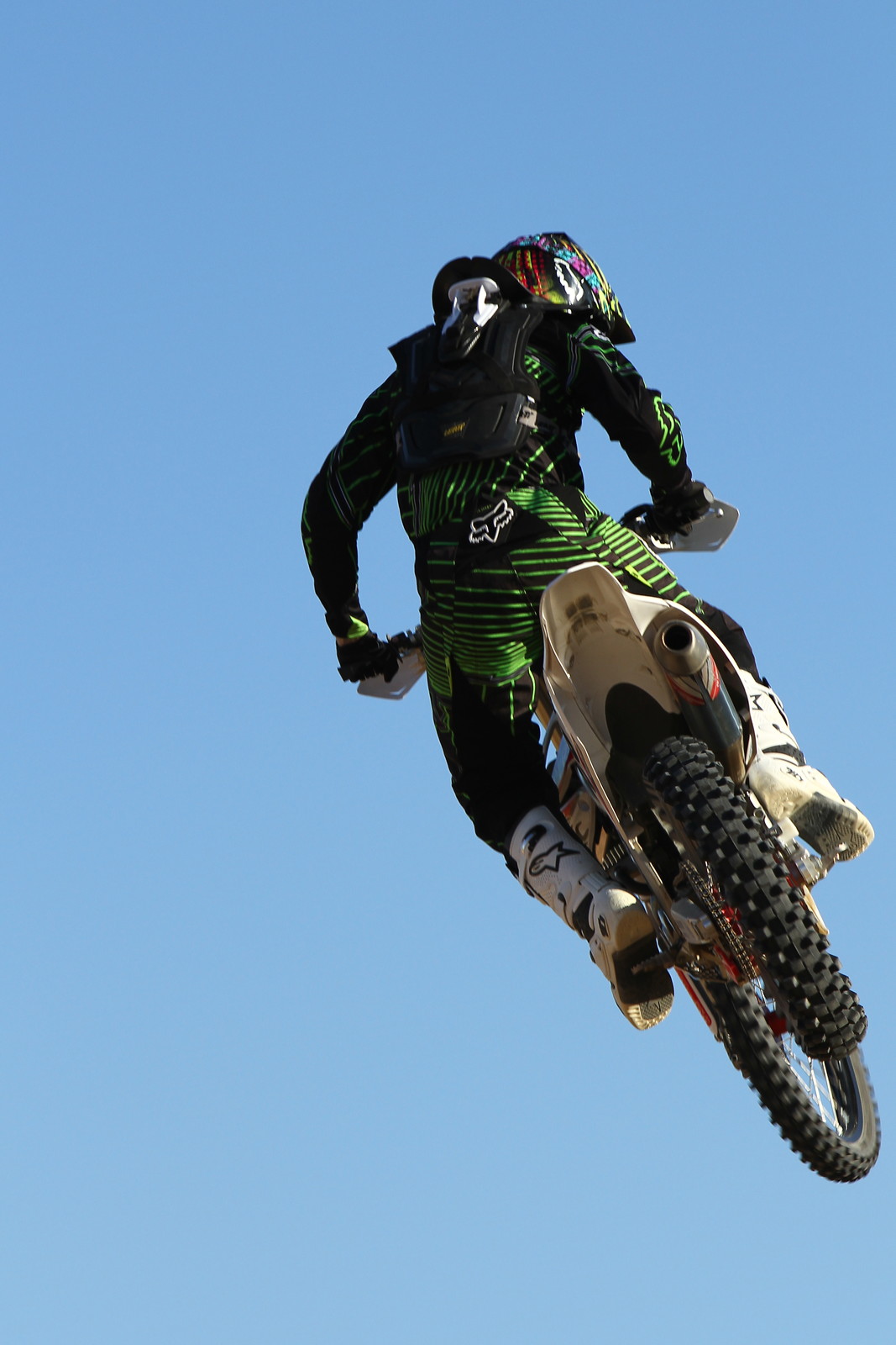 Fernando_Valderrama's Profile Vital MX