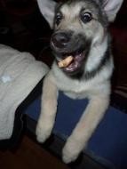 Profile picture for user woodsryder