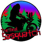 Profile picture for user The real Sasquatch