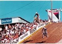 Mchenault499