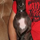 Profile picture for user Rayzer