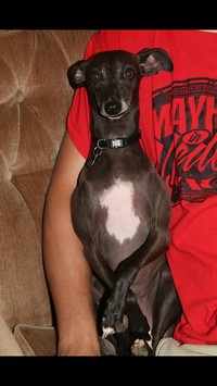 Profile picture for user Rayzer