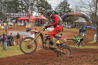 harescrambled