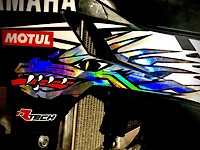 Elite2StrokeSteeze