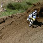 Profile picture for user mushymoto