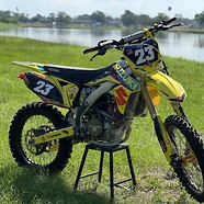 2015 RMZ 270 - The Turtle Dragon