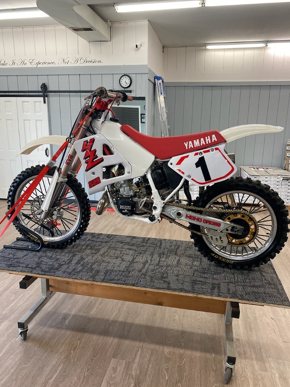 s1600_yz3.jpg