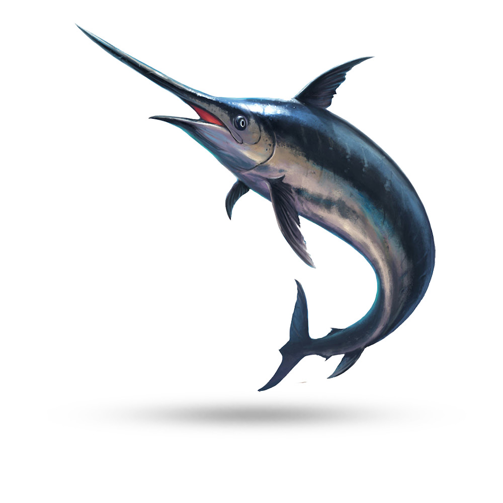 swordfish's Profile Vital MX