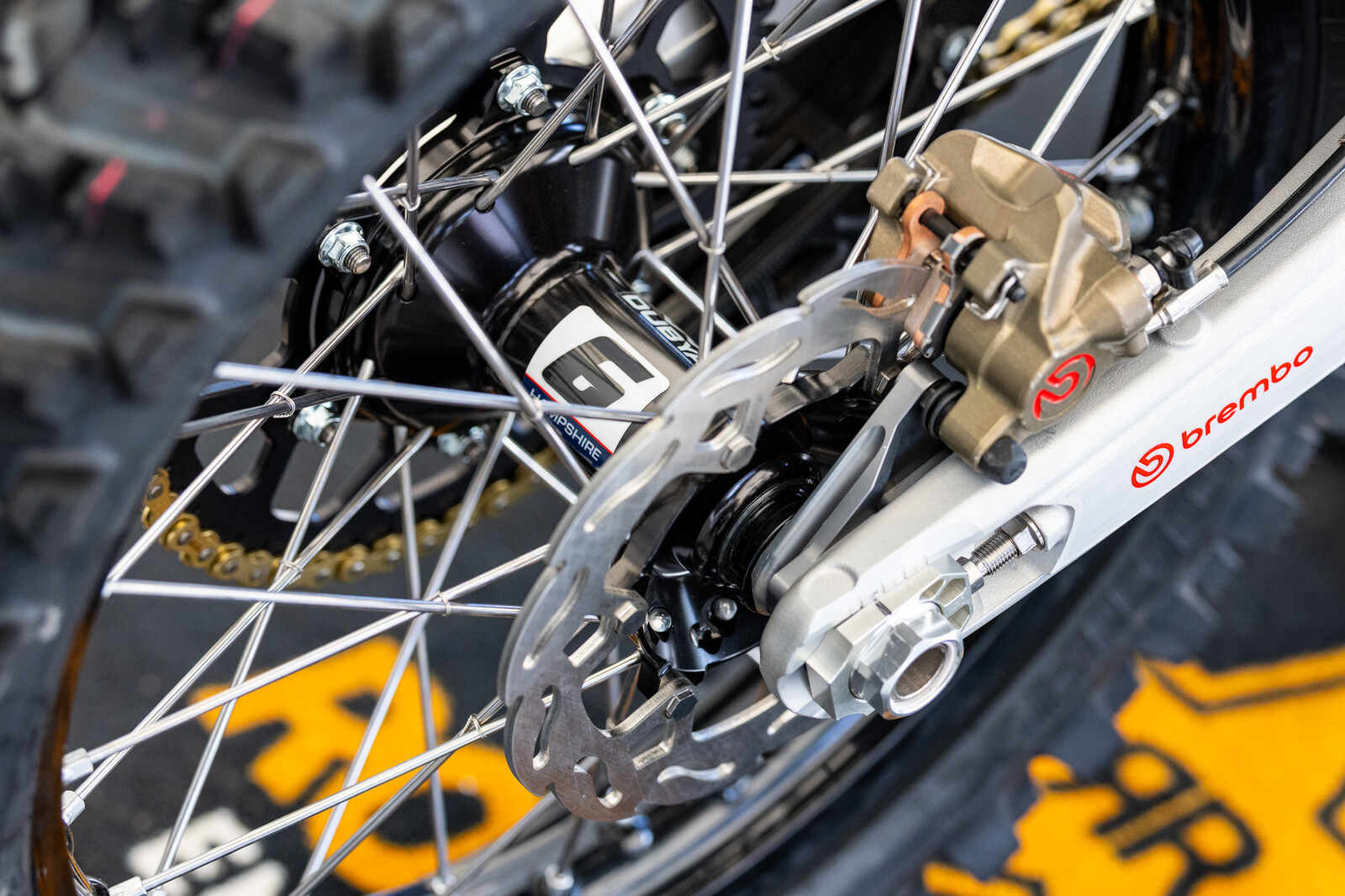 PitBits MXoN-212.jpg?VersionId=lyktcGglcj0m