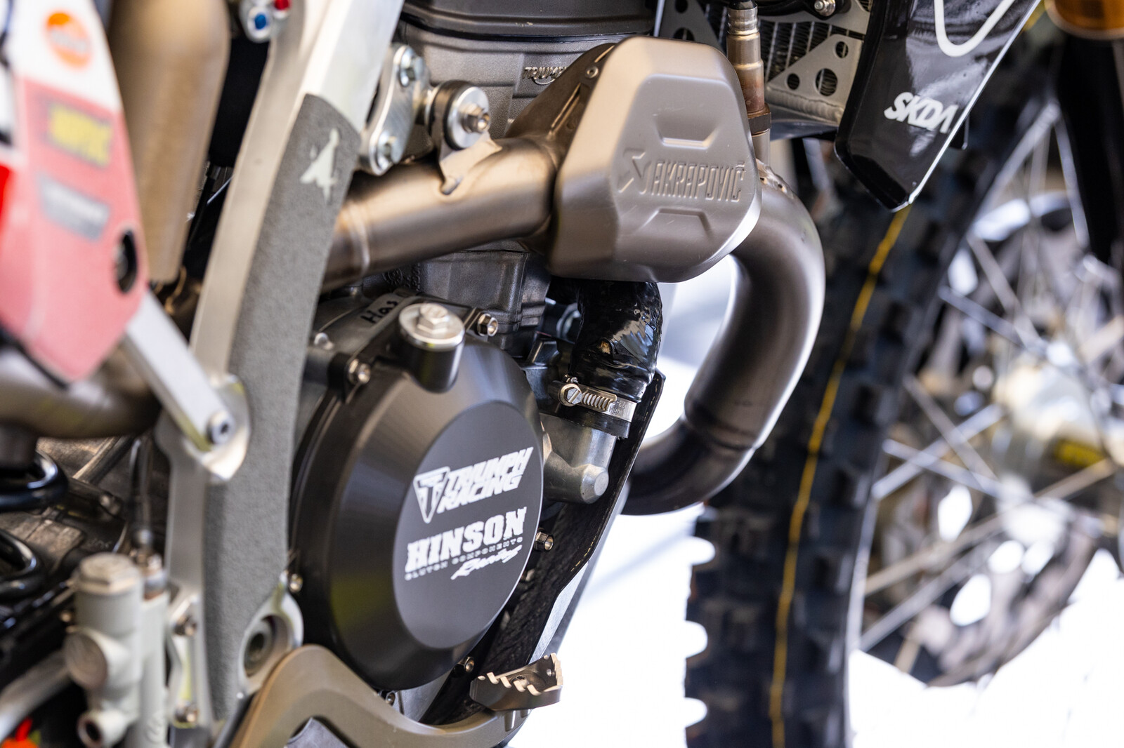 PitBits MXoN-267.jpg?VersionId=AsX7hcF6VER7r0Wn