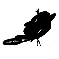 yzracer92 Profile picture for user yzracer92