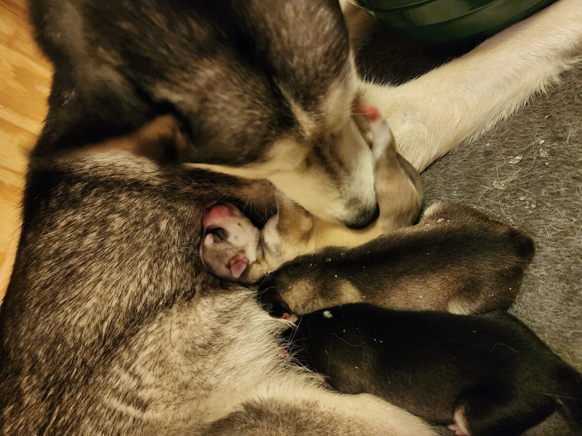 1000008098 0.jpg?VersionId=DfNnnAFnPUBba