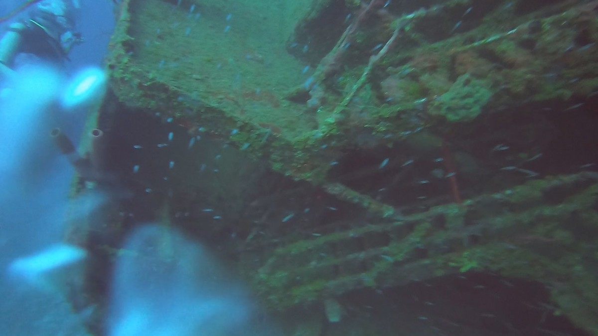 1000024268.jpg?VersionId=j946IG8U9U7MWqXzbd