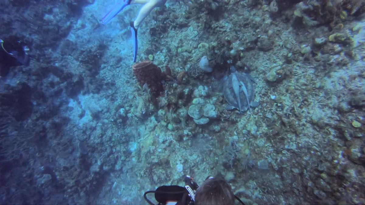 1000024272.jpg?VersionId=.omNfSW8h5f1247LeB