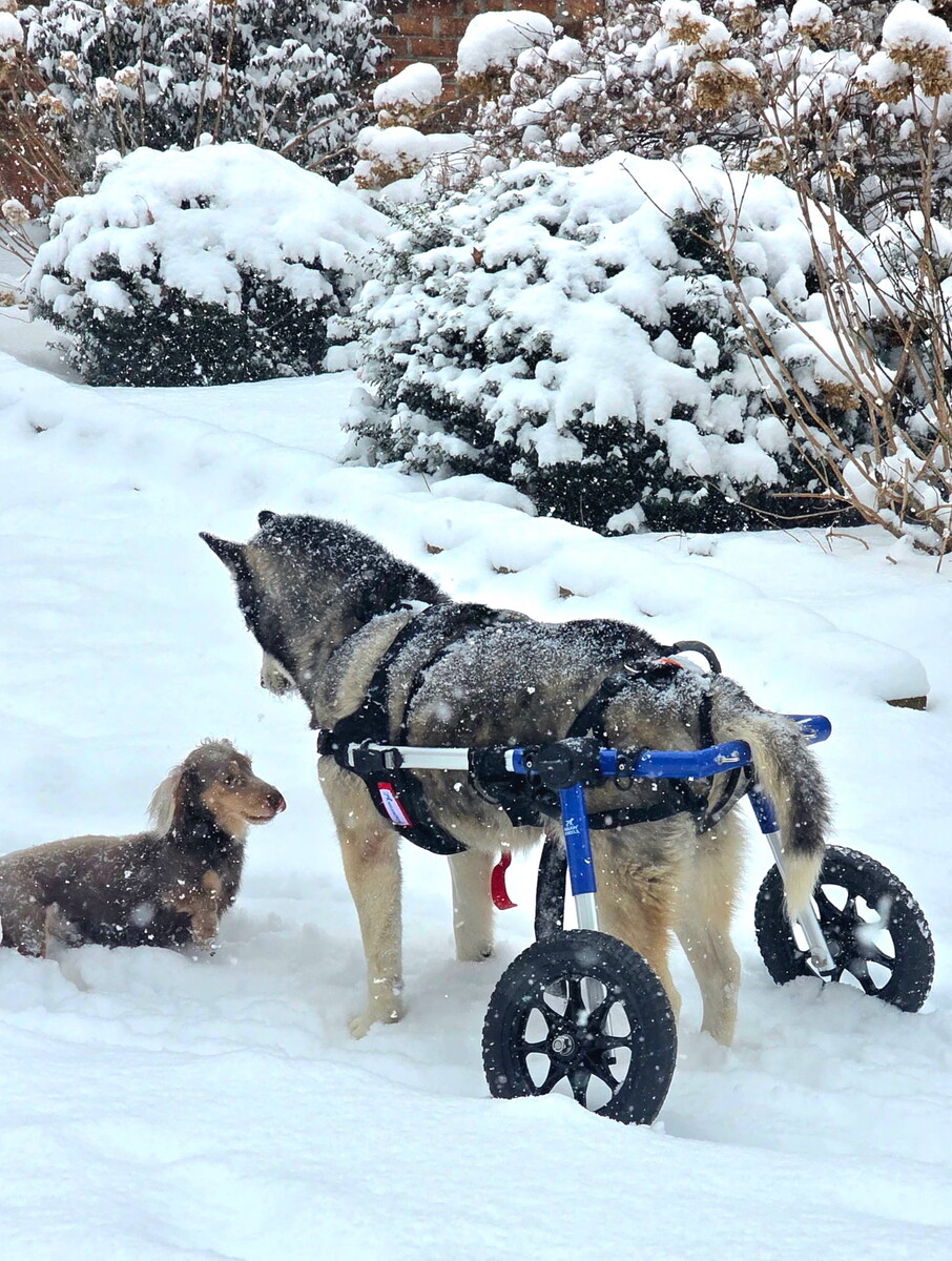 5184.jpeg?VersionId=4laF