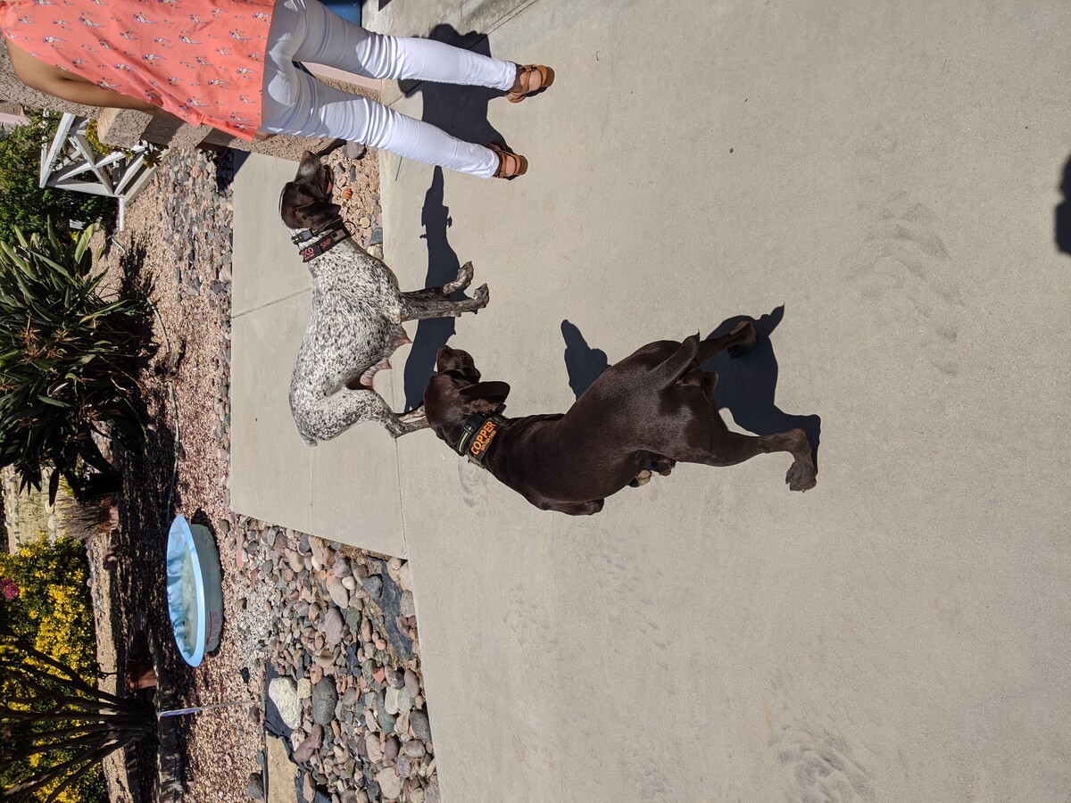 817dd64a-61e9-4192-a919-53049f75a041-1 all 11838