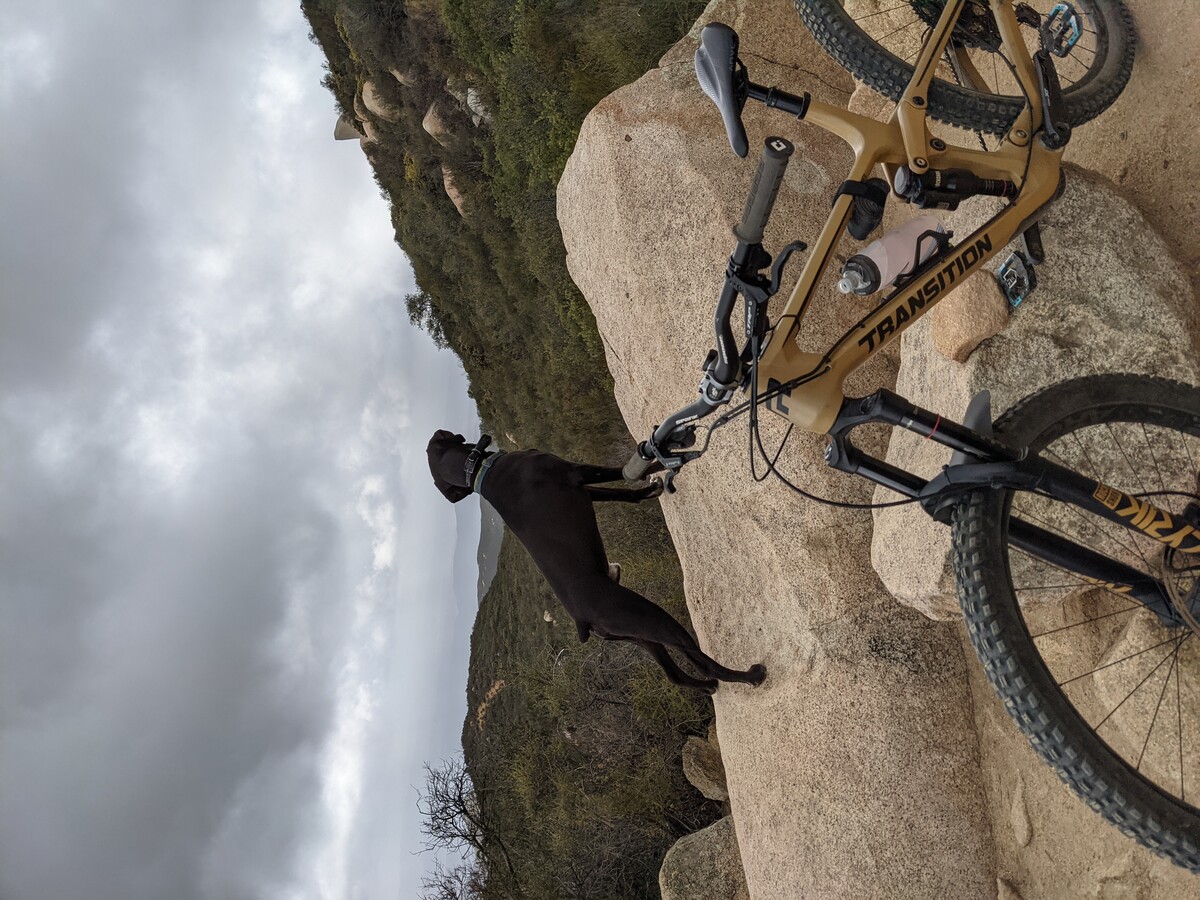 817dd64a-61e9-4192-a919-53049f75a041-1 all 9900