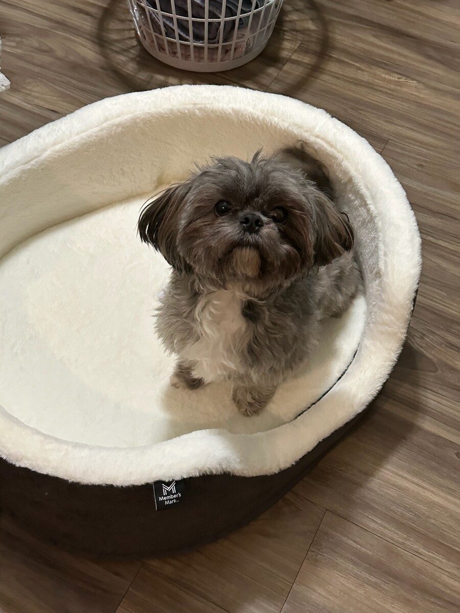 IMG 4147.jpg?VersionId=hmpbt7yJqdphMvTnDJX7kBGZ