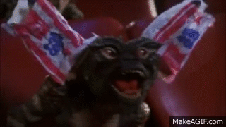 IMG 4432.gif?VersionId=ZbVbL45qHo1Ho6vti