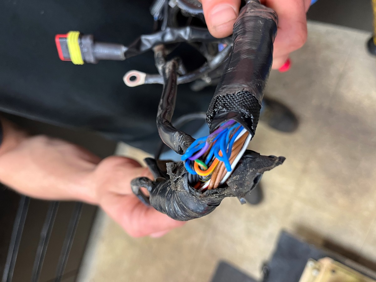 2023 KTM Wiring Harness Failure Tech Help/Race Shop Motocross Forums / Message Boards Vital MX