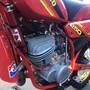 IMG 3895