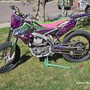 IMG 4146