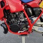 IMG 4950