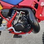 IMG 4959