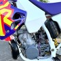 IMG 7092