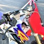IMG 7099
