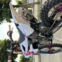IMG 6875