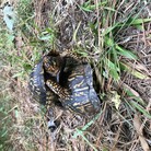 Profile picture for user el j