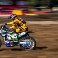 Freestone_MX_Picture_867024.jpg