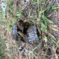 IMG 0476.jpeg?VersionId=xgNySkb1gzsK8YsmnBBkkxesZ