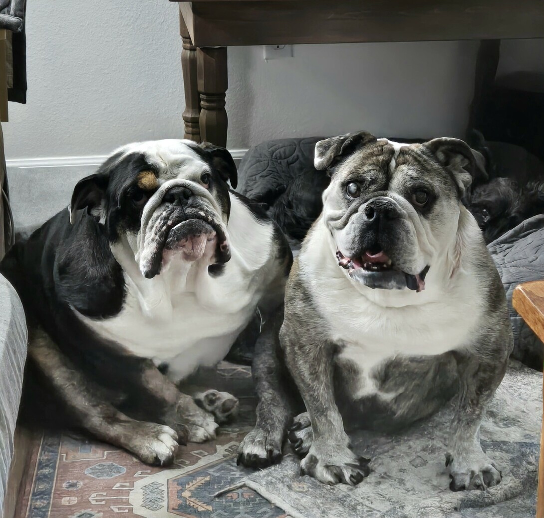 Profile picture for user Thornton_Melon